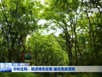 渭南新闻11月21日