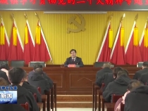 党的二十大代表王友民到临渭区崇凝镇宣讲党的二十大精神