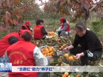 “志愿红”助力“柿子红”