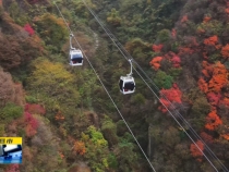 西岳华山 秋韵凝彩色正浓