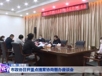 市政协召开重点提案协商督办座谈会