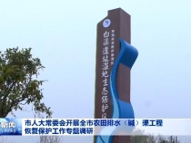 市人大常委会开展全市农田排水（碱）渠工程 恢复保护工作专题调研