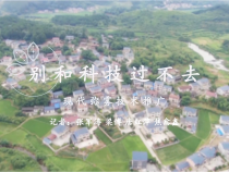 别和科技过不去