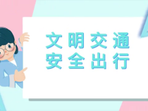 创文公益视频｜文明交通  安全出行