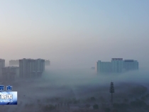 蒲城现“大地流云”奇观！