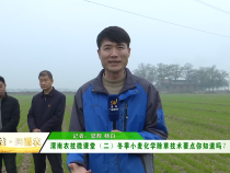 【渭农技 兴渭农 】渭南农技微课堂（二）冬季小麦化学除草技术要点你知道吗？