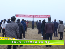 增殖放流  15万尾鱼苗“安家”渭河