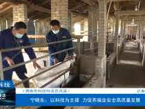 【渭南市科技特派员风采】宁晓东：以科技为支撑 力促养殖业安全高质量发展