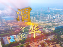 渭华 渭化