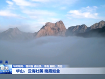 华山：云海壮美 晚霞如金