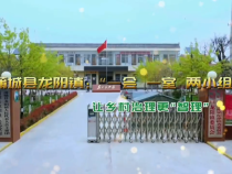 蒲城县龙阳镇：“一会 一室 两小组” 让乡村治理更“智理”