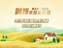 【渭农技 兴渭农 】渭南农技微课堂：冬季除草怎么做你知道吗？