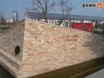 同一个“柿”界 不同的享受