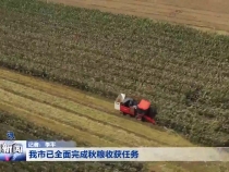 我市已全面完成秋粮收获任务