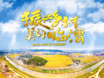 1102振興鄉(xiāng)村美好臨渭