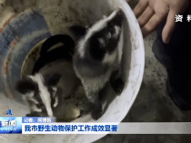 我市野生动物保护工作成效显著