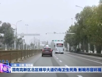渭南高新区北区锦华大道仍有卫生死角 影响市容环境