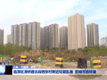 临渭区渭桥路北段西张村附近垃圾乱堆  影响市容环境