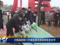 大荔县投放10万尾鱼苗改善湿地生态水平