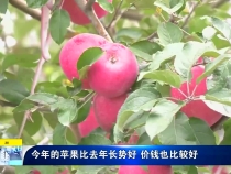 直通县市11月2日