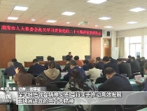 深学细悟领会精神实质 笃行实干推动高效发展 王琦宣讲党的二十大精神