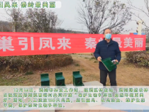 筑巢引凤来 秦岭最美丽