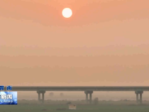 渭南新闻12月14日