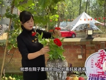 《亲爱的渭南人》吕春萍 专访