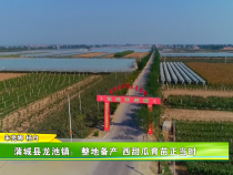 蒲城县龙池镇：整地备产 西甜瓜育苗正当时