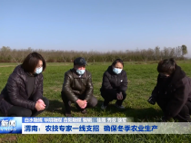 渭南：农技专家一线支招 确保冬季农业生产