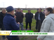 【渭农技 兴渭农】渭南农技微课堂（三）小麦地下害虫综合防治很重要