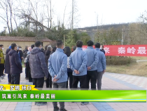 筑巢引凤来 秦岭最美丽