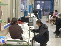 12月30日健康临渭
