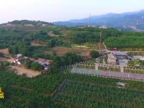 臨渭區(qū):有效鞏固脫貧成果 全力推進(jìn)鄉(xiāng)村振興