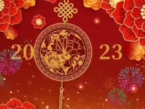 市交通运输综合执法支队给全市人民拜年啦！