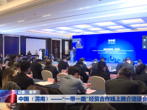 中国（渭南）——“一带一路”经贸合作线上推介洽谈会举办