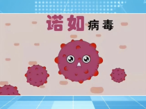 什么是诺如病毒？