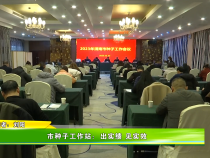 市种子工作站：出实绩 见实效