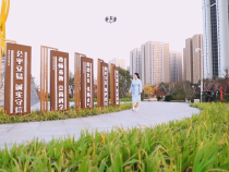 创文公益视频｜你我微力量 汇聚城市大文明