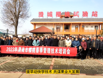 渭南市樱桃春季管理技术培训会在澄城举办