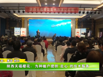 陕西天福樱花：为种植户提供“走心”的技术服务