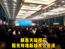 陕西天福樱花阳光玫瑰葡萄公开课开讲啦！
