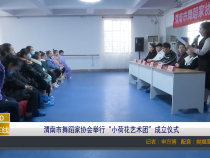 【渭南教育】渭南市舞蹈家协会举行“小荷花艺术团”成立仪式