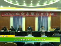 2023年全市果业工作会议召开