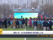 【渭南教育】渭南小学：步行参观博物馆 感受渭南人文史