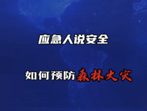 【渭南应急】应急人说安全——如何预防森林火灾