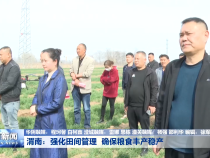 渭南：强化田间管理  确保粮食丰产稳产