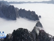 华山：玉树琼花漫山间  云海翻腾奇景绝