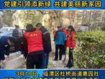 《创建进行时》临渭区杜桥街道惠园社区：党建引领添新绿 共建美丽新家园