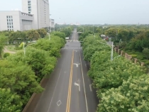 创文公益视频丨文明出行 我们同在路上